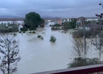 Vjosa arrin nivelin 9 metra, përmbyten rreth 200 hektarë tokë bujqësore