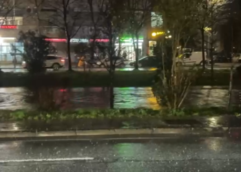 Reshjet intensive/ Lana ‘ngjitet’ te lulishtja, rrezikon të dalë në rrugë