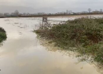 Lumi Ishëm del nga shtrati, situatë problematike në Fushë-Krujë/ Përmbyten qindra hektarë tokë, rrugë të bllokuara në.. (VIDEO)