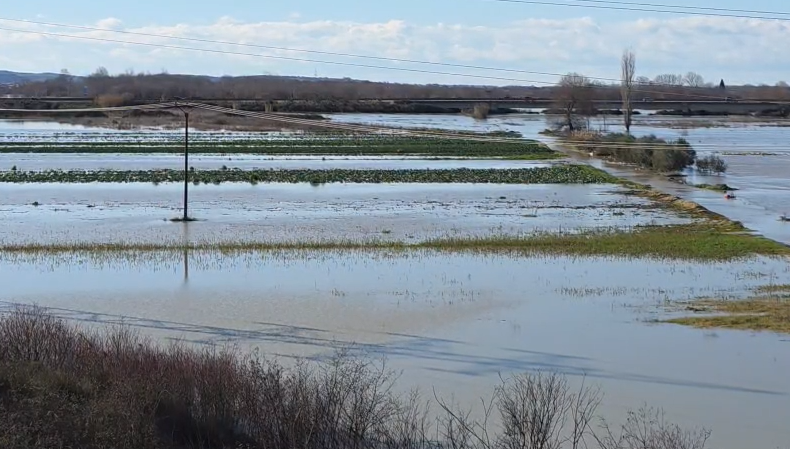 Shkumbini del nga shtrati në Thanasaj  30 shtëpi dhe qindra hektarë tokë bujqësore nën ujë në Lushnje