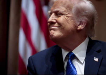 Groenlanda, pse këmbëngul Trump? Lëndët e para, rruga arktike (dhe Europa). Çfarë synojnë SHBA-të