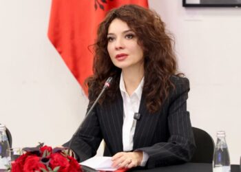 Samiti i IV-t mbahet në prill, Spiropali me Këshillin Koordinues të Diasporës: Fokusi në fuqizimin e rolit të diasporës