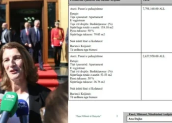 Apartamente, makinë, cash dhe 16 llogari bankare, zbardhet pasuria e deputetes së “Shqipëria Bëhet”