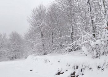 Gramsh, gjenden tre personat e bllokuar në borë, në operacionin e kërkimit u përfshinë…