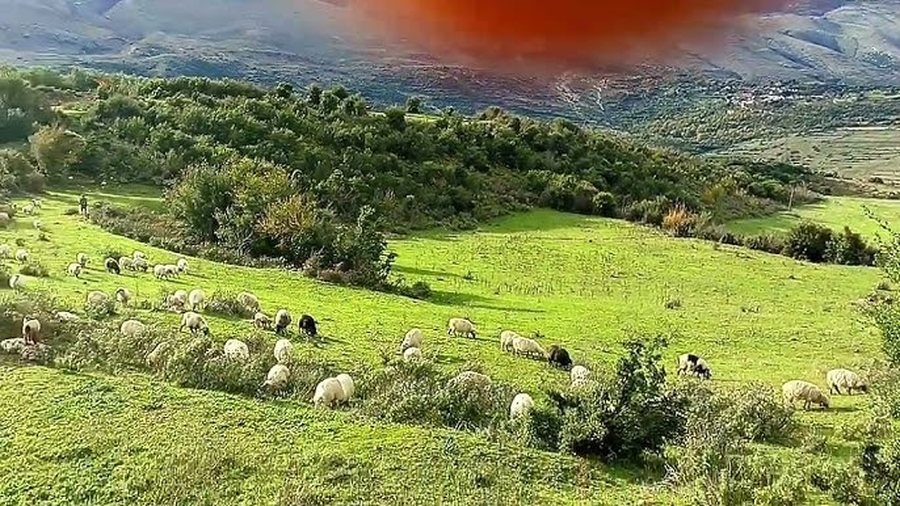 Gjendet i pajetë në një stan 56 vjeçari në Dhëmblan të Tepelenës