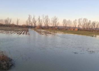 Shkarkimet nga digat dhe kanalet e bllokuara, rritet sipërfaqja e serrave të përmbytura