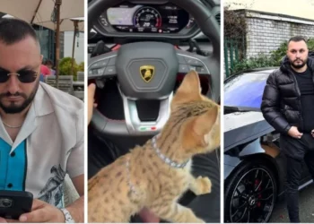 FOTOT/ “Shqiptar mbulon vajzat me para dhe tallet me Ministrinë e Brendshme”, “The Telegraph” nuk i ndahet Dorian Pukës: Jetë luksoze teksa kërkon azil