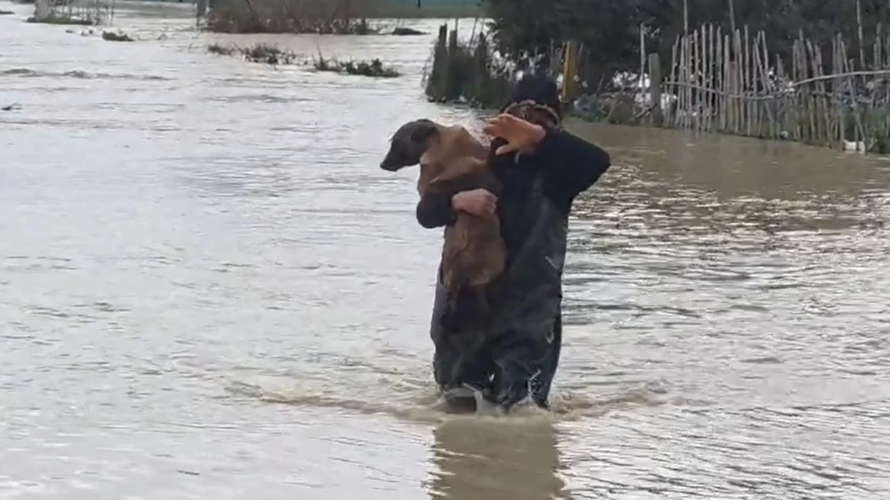 Vjosa në kuotën e 9 metrave  Nesër parashikohet stuhi  shpresa e vetme janë uljet e prurjeve