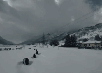 “Terr” në qarkun e Elbasanit si pasojë e motit të keq/ Mbi 1 mijë familje pa energji elektrike