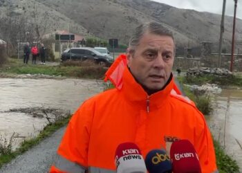 Pjerin Ndreu: Jemi në situatë problematike, akoma jo alarmante