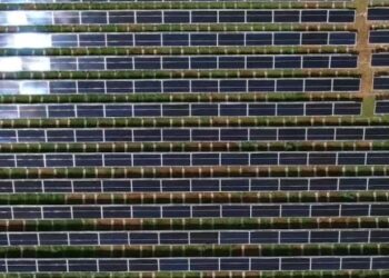 Katër sektorë në fokus të investitorëve/ Ekspertët: Ka potencial të lartë, por klima e investimeve mbetet sfidë