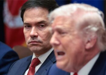 Kushtet ekstreme të motit në Ukrainë, Trump: Putini ra dakord për një armëpushim njëjavor