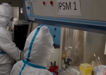 Virusi ‘Nipah’ jo rrezik imediat për Shqipërinë, Bino: Nuk përhapet nga ajri