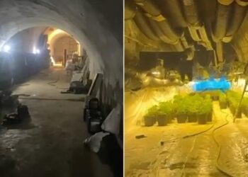 Shkodër/ Zbulohen 670 bimë kanabisi në një tunel, 3 në pranga dhe 3 në hetim(EMRAT)