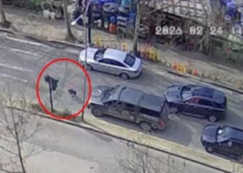 Përplasën për vdekje 7-vjeçarin, lirohen dy shoferët: Nuk kishim fushëpamje…