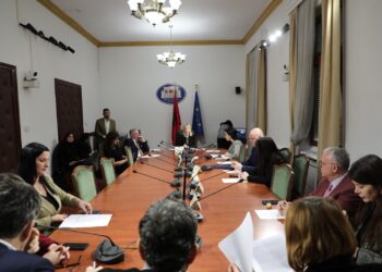 Revolucioni digjital dhe dyfishimi i buxhetit, çfarë po ndryshon në Ligjin për Librin?