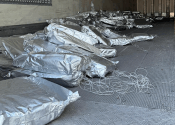 Trajleri bosh ngjalli dyshime në Doganën e Kakavijës, sekuestrohen 350 kg lëndë narkotike të fshehura në shasi