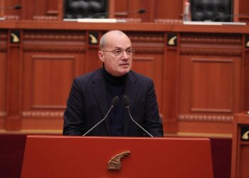 Diplomacia si shërbim publik e jo si privilegj