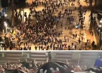 Protesta/ Balla: Grupi kriminal që mbulohet me çadra edhe pse nuk bie shi, gati për molotovët e një plaku të rrjedhur