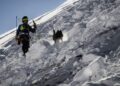 Dy skiatorë humbin jetën nga orteku në Alpet Franceze, shpëtojnë dy të tjerë që ishin pjesë e grupit
