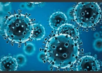 Nga tërbimi, ebola e Covid-19, zbuloni 11 viruset më vdekjeprurës për njerëzimin