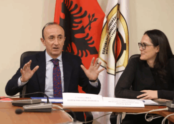 Sula flet si Kryeinspektor: Detyra e re një sfidë, do mbaj kontakte direkte me Ramën