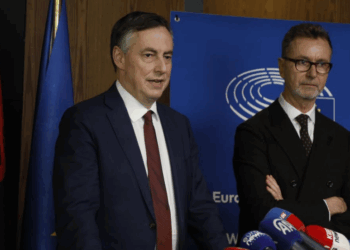 Komiteti i Punëve të Jashtme të PE vizitë në Tiranë, McAllister: Protestat e dhunshme s’kanë vend në demokraci