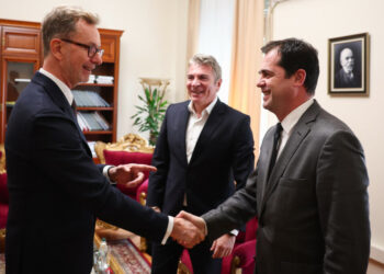 Zgjedhorja, Gonzato takim me Gjiknurin e Celibashin: Të përmbushë standardet ndërkombëtare