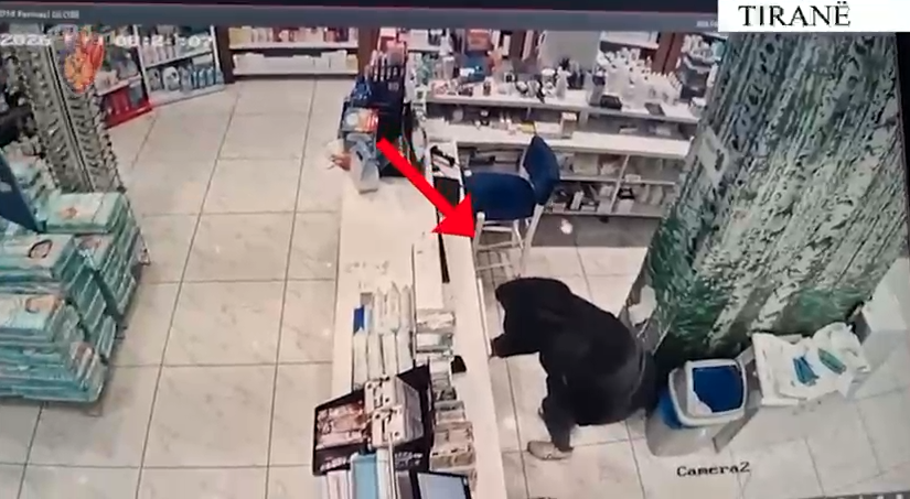 VIDEO  Me kapuç dhe e pamëshirshme  26 vjeçarja  terrorizon  bizneset në Tiranë