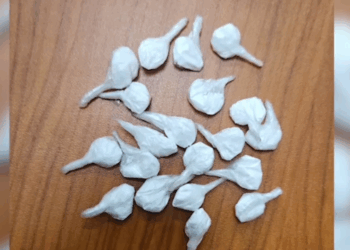 17-vjeçari shpërndarës kokaine në Kukës, vihet në pranga