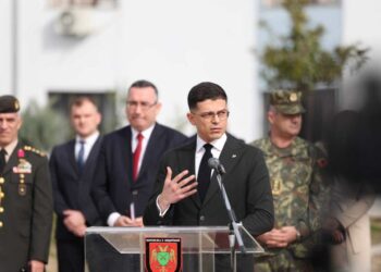 Vengu për Euroactiv: Ballkani Perëndimor është ‘sistemi nervor’ i sigurisë së Europës