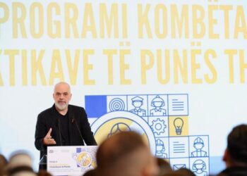 Rama: Programi Kombëtar i Praktikave të Punës, urë konkrete mes arsimit universitar dhe punësimit në administratë