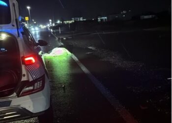 Aksident tragjik në Lezhë, humb jetën këmbësori, Policia jep detajet e para