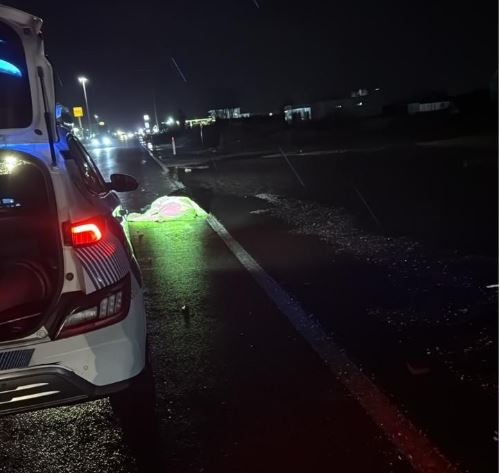 Aksident tragjik në Lezhë  humb jetën këmbësori  Policia jep detajet e para