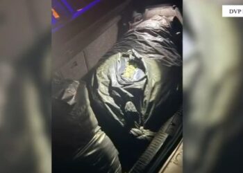 Policia godet grupin kriminal! Shisnin drogë nga veriu në jug dhe jashtë vendit, katër persona të arrestuar! Sekuestrohet kanabis dhe armë zjarri