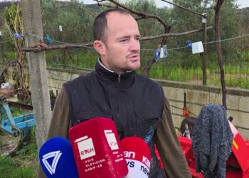 Protesta e kamionistëve bllokon eksportet nga Divjaka, fermerët: Të paktën të nxjerrim shpenzimet