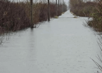 Situata e reshjeve në Shkodër, Drini në rënie, Oboti vijon të përballet me përmbytje