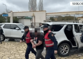 EMRI/ Në kërkim për kultivim të lëndëve narkotike, arrestohet 44-vjeçari në Shkodër