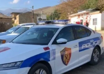 I dënuar me burg për plagosje, ekzekutohet vendimi i gjykatës për 25-vjeçarin në Tropojë
