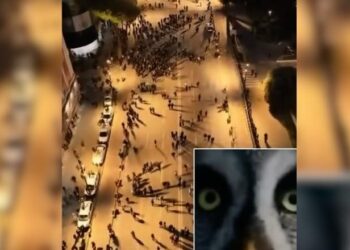 Taulant Balla reagon me ironi për protestën e PD-së: Berishën e braktisën edhe të vetët