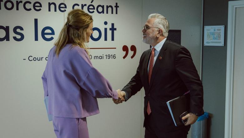 Toni Gogu takim në Bruksel me ministren belge të Drejtësisë  Shqipëria s ka  plan B   por vetëm rrugën drejt integrimit në BE