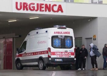 Gripi në pranverë/ Ulen rastet por jo agresiviteti, humb jetën një i moshuar