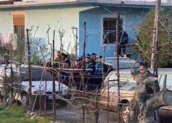 Krimi në Roskovec, flasin të afërmit dhe komshinjtë: Autori i ngjarjes ishte i vetmi burrë që s’pinte alkool në fshat