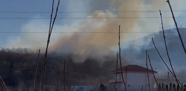 Zjarri përfshin një sipërfaqe pyjore në Pogradec  zjarrfikësit dhe banorët në luftë me flakët