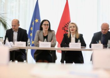 Ibrahimaj: Program mbështetjeje për përpunimin e mishit dhe ligj për produktet “Made in Albania”