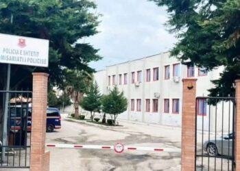 Nga Skrapari në Kavajë për të vjedhur, arrestohet hajduti serial