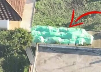 Laboratori i kokainës në Frakull: SPAK zbulon 5 të dyshuar të tjerë nga trafiku nga Kolumbia