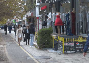 Nga punët e shtëpisë te kujdesi për fëmijët, gratë shqiptare kalojnë 6 orë çdo ditë punë të papaguar