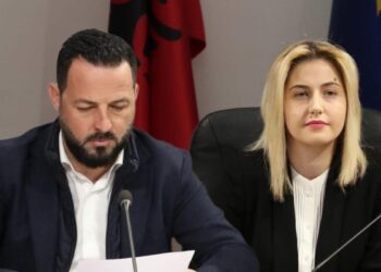 Tension në Komisionin për Diasporën; Arkend Balla – Ina Zhupës: Lini dhunën, t’i kthehemi punës