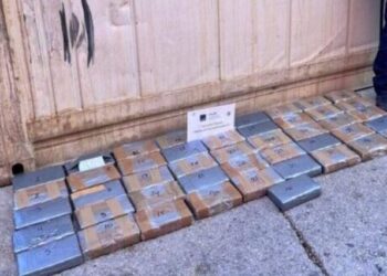 Çmontohet organizata greko-shqiptare e trafikut të drogës, sekuestrohen 219 kg kanabis ‘skunk’ në Portin e Pireut